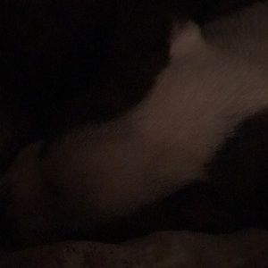 Meet your Posher, Blake